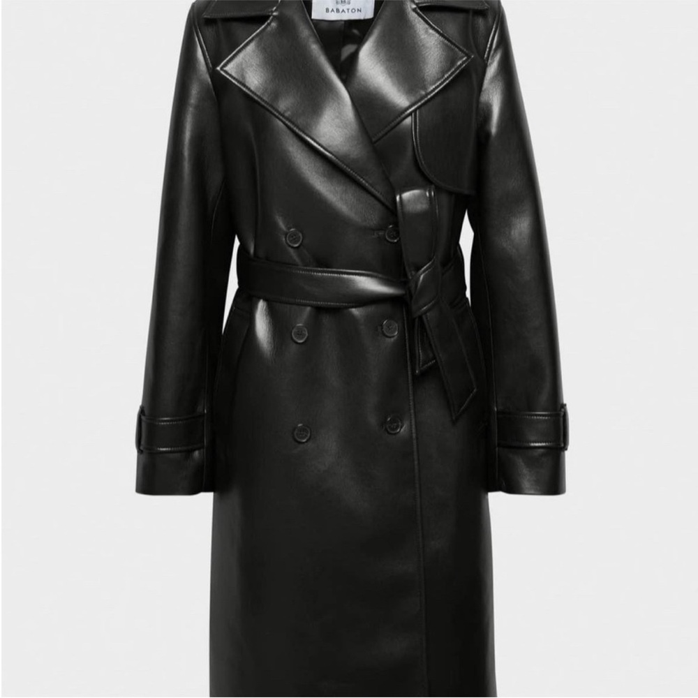 Aritzia Babaton Tabloid Trench - SOLD OUT